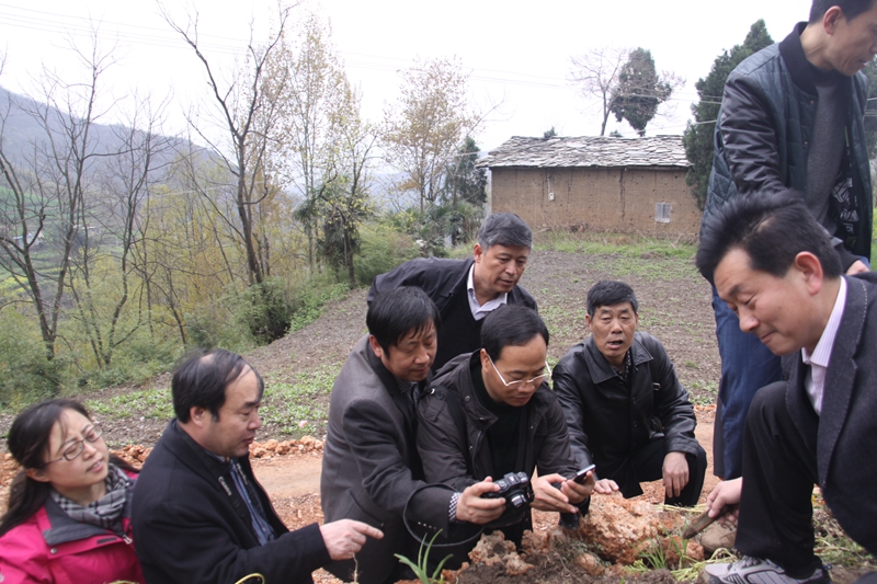 王喆之教授到安康黄姜基地调研 - 副本.JPG